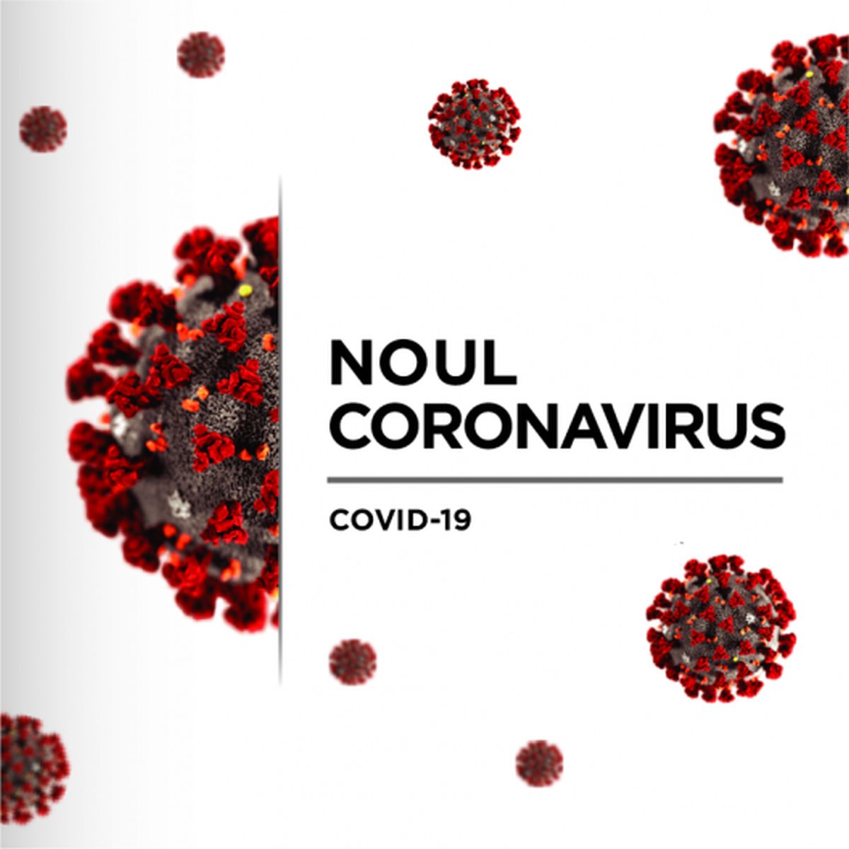 Noul coronavirus: întrebări și răspunsuri pentru copii și tineri (sirsa: https://chisinauedu.md)